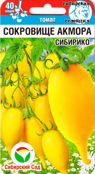 Tomat "Sokrovishche Akmora Sibiriko" Tomat "Sokrovishche Akmora Sibiriko"