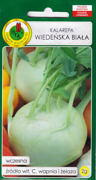 Kaalirapi​​​​​​​ "Vienna White" (Wiedenska Biala)