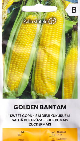 Maíz dulce "Golden Bantam" Maíz dulce "Golden Bantam"