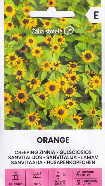 Meksikonhuovinkukka "Orange" Meksikonhuovinkukka "Orange"