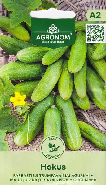 Огурец "Хокус" Огурец "Хокус"