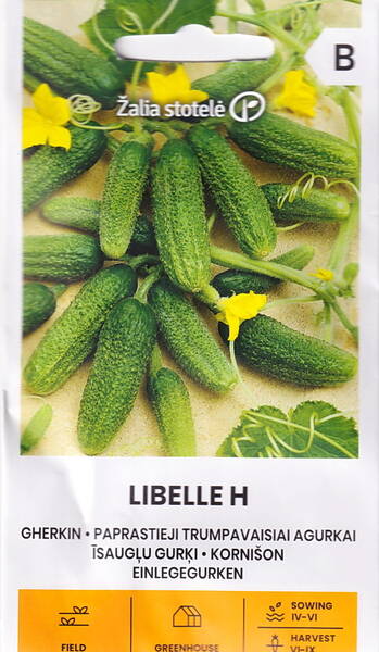 Kurk "Libelle" F1 Kurk "Libelle" F1