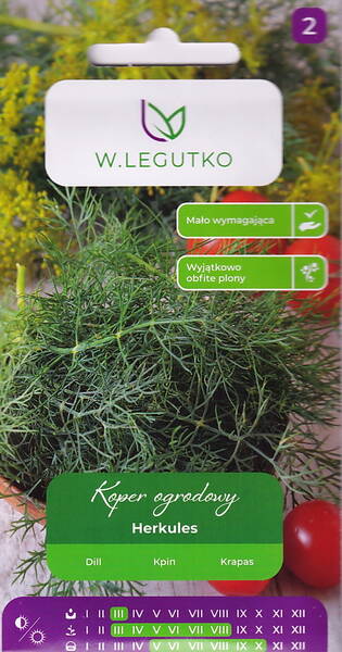 Укроп "Геркулес" Укроп "Геркулес"