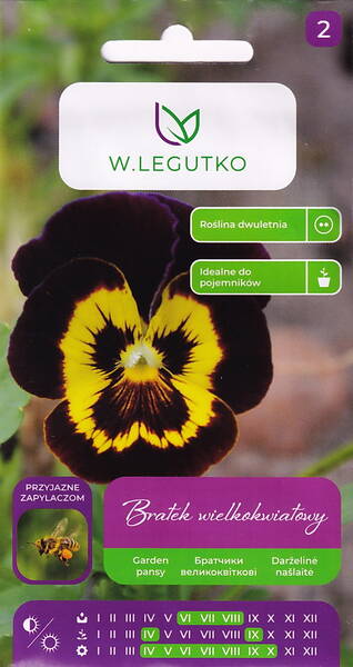 Tarhaorvokki "Violet with yellow centre"