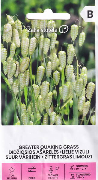 Big quacing grass Big quacing grass