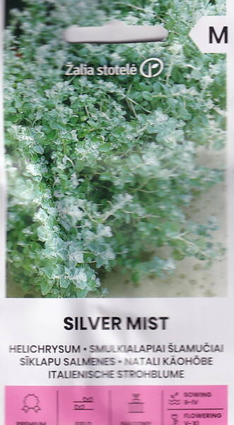 Hopeakäpälä "Silver Mist" Hopeakäpälä "Silver Mist"