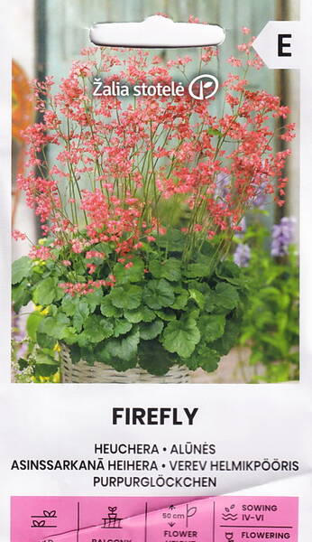 Гейхера кроваво-красная "Firefly"