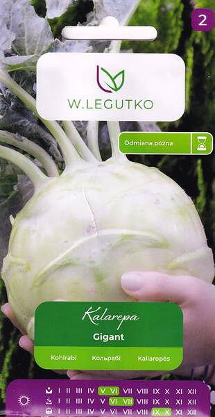Kålrabbi "Gigant"
