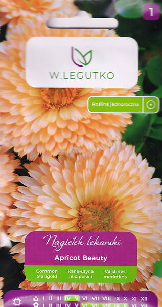 Pot marigold "Apricot Beauty"