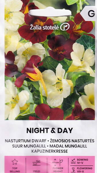 Pensasköynnöskrassi "Night & Day" Pensasköynnöskrassi "Night & Day"