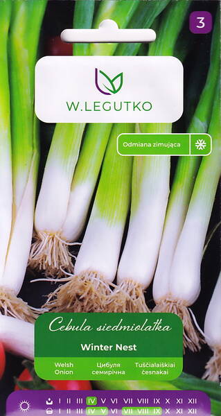 Salladspurjo "Siedmiolatka" ("Winter Nest") Salladspurjo "Siedmiolatka" ("Winter Nest")