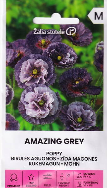 Poppy 'Amazing Grey' Poppy 'Amazing Grey'