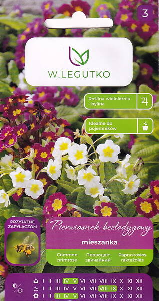 Primevère (mélange)