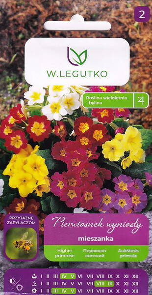 Kõrge priimula (segu)