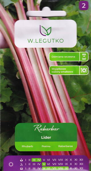 Rabarber "Lider" Rabarber "Lider"