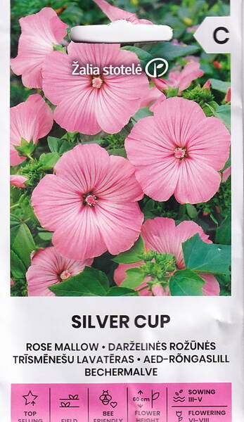 Lavatera „Silberne Schale“