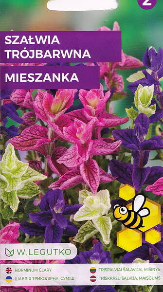 Сальвия хорминумовая (смесь триколор) Salvia horminum Сальвия хорминумовая (смесь триколор) Salvia horminum