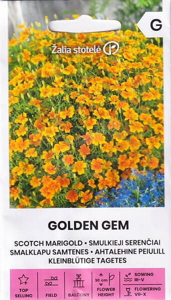 Tagetes tenuifolia 'Golden Gem'