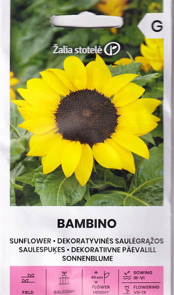 Auringonkukka "Bambino" (kääpio) Auringonkukka "Bambino" (kääpio)