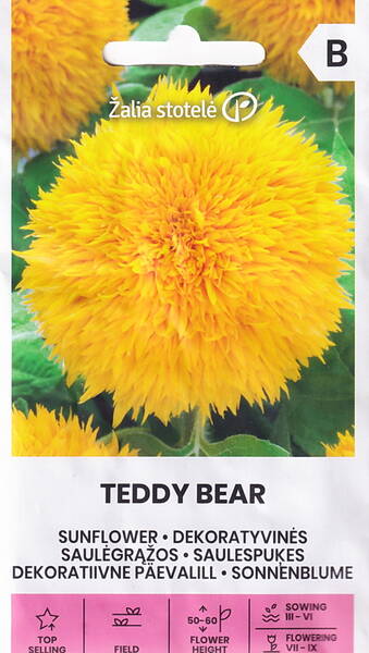 Päevalill dekoratiivne "Teddy Bear"