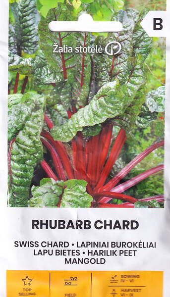 Mangold (Mangold) „Rhabarber-Mangold“ Mangold (Mangold) „Rhabarber-Mangold“