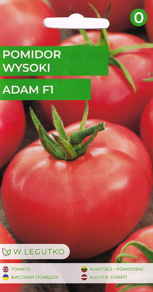 Tomate "Adam" F1