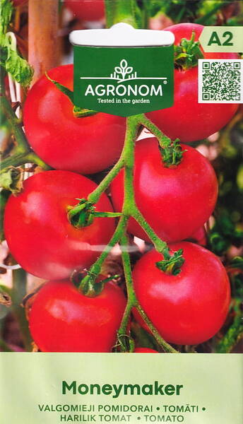 Tomat "Moneymaker" Tomat "Moneymaker"