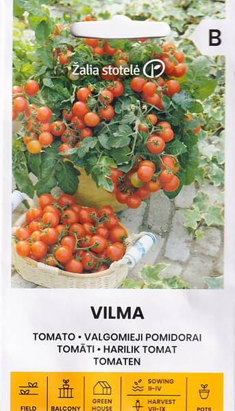 Ruukkutomaatti "Vilma"