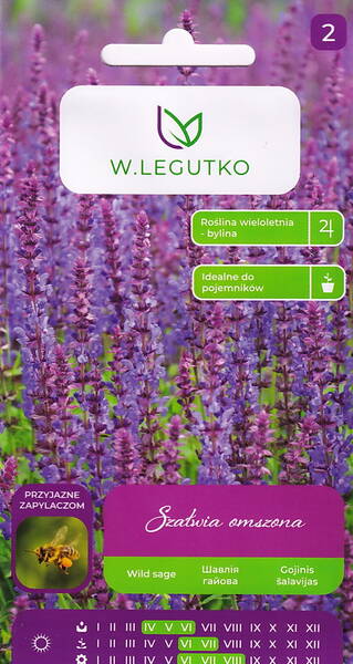 Salvei oivaline "Mix" Salvei oivaline "Mix"