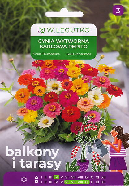 Цинния георгиноцветковая "Пепито" (смесь)