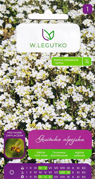 Alpine rockcress "White" Alpine rockcress "White"