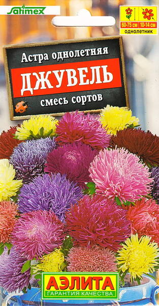 Asteri "Juwel" (seos)