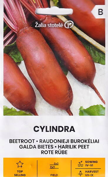 Punajuuri "Cylindra" Punajuuri "Cylindra"