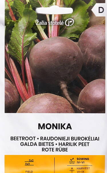 Rote Bete "Monica"