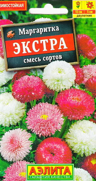 Маргаритка "Экстра" (смесь сортов)