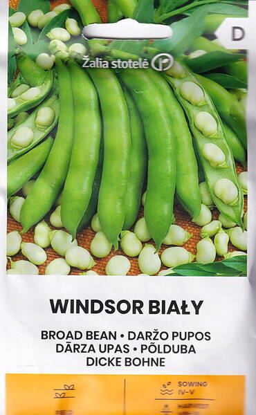 Windsor Weiße Bohnen