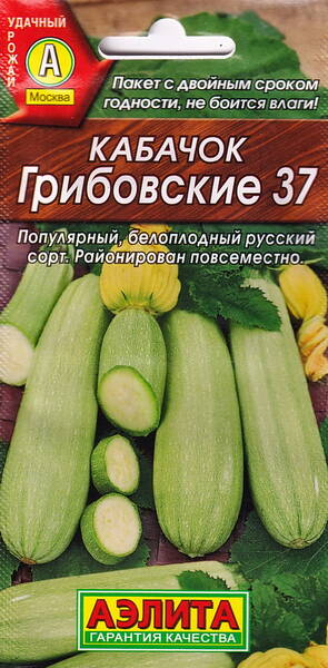 Кабачок "Грибовские 37"
