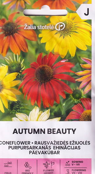 Échinacée 'Autumn Beauty' (rudbeckia)
