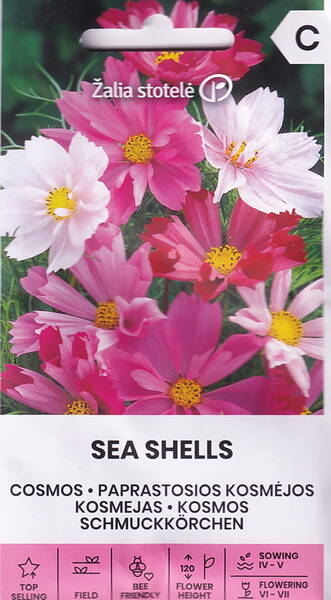 Kosmos "Sea Shells" (mix) Kosmos "Sea Shells" (mix)