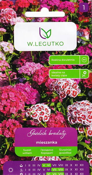 Harjaneilikka (mix) Harjaneilikka (mix)