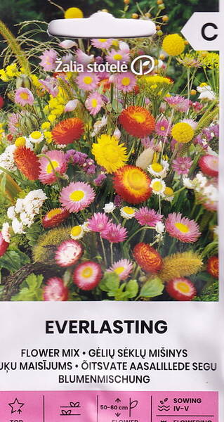 Blandning av höga annueller "Everlasting"