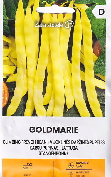 Climbing french bean "Goldmarie" Climbing french bean "Goldmarie"