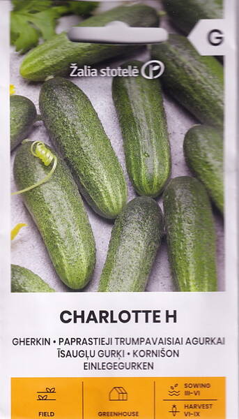 Gurka "Charlotte" F1