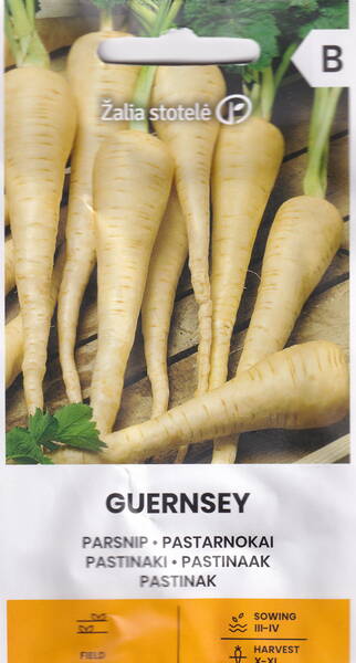 Palsternakka "Guernsey" Palsternakka "Guernsey"