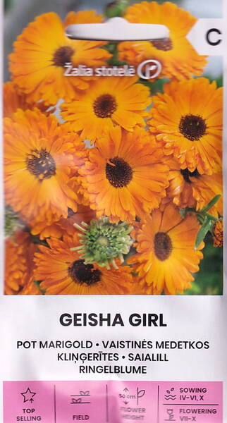 Kehäkukka "Geisha Girl"