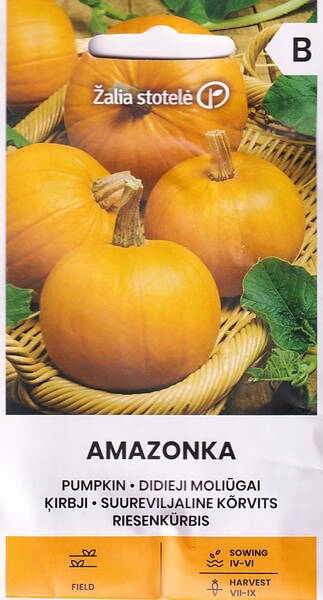 Calabaza "Amazonka" (porción)