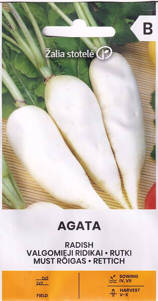 Summer radish "Agata"
