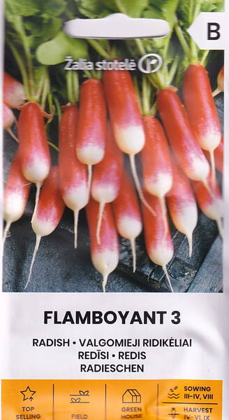 Retiisi "Flamboyant 3"
