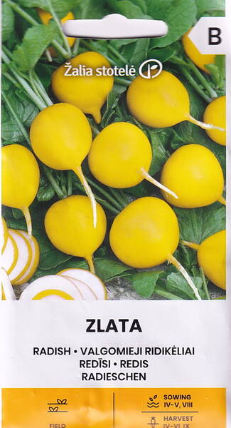 Rädisa "Zlata"