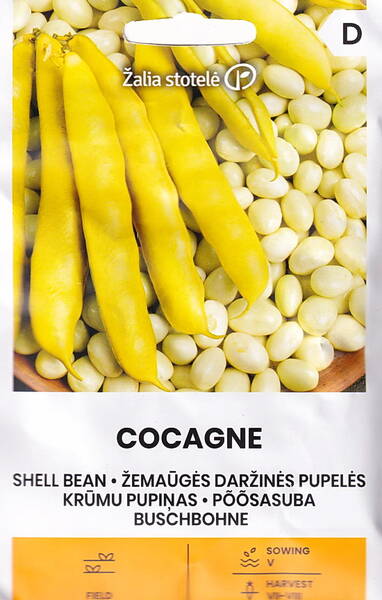 Dwarf shell bean "Cocagne"